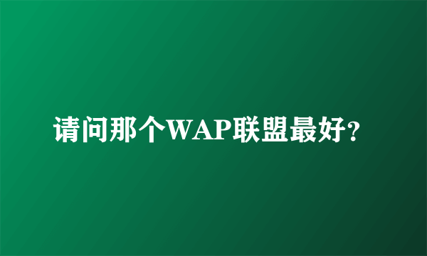 请问那个WAP联盟最好？