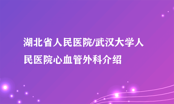 湖北省人民医院/武汉大学人民医院心血管外科介绍