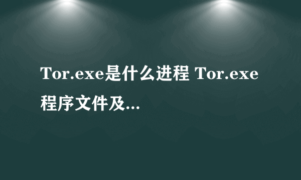 Tor.exe是什么进程 Tor.exe程序文件及功能介绍