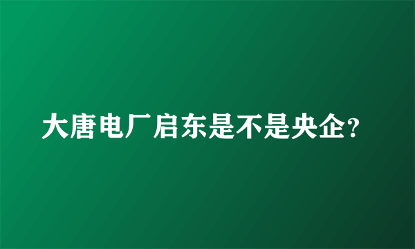 大唐电厂启东是不是央企？