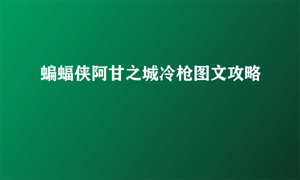 蝙蝠侠阿甘之城冷枪图文攻略