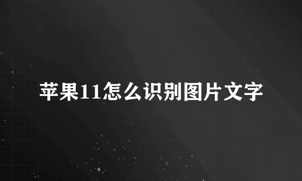 苹果11怎么识别图片文字