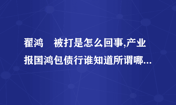 翟鸿燊被打是怎么回事,产业报国鸿包债行谁知道所谓哪里创办的，靠谱吗？