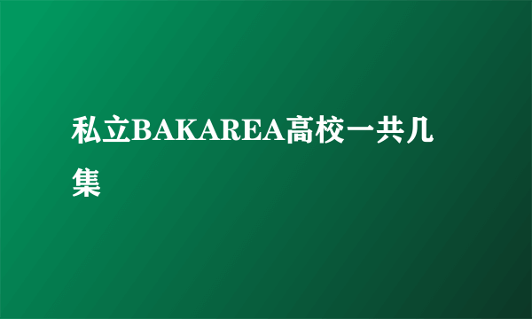 私立BAKAREA高校一共几集