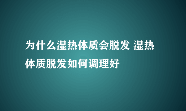 为什么湿热体质会脱发 湿热体质脱发如何调理好