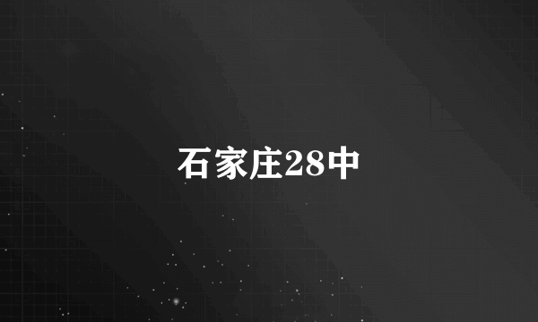 石家庄28中