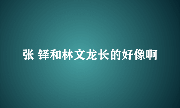 张 铎和林文龙长的好像啊