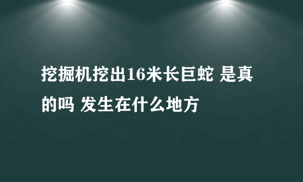 挖掘机挖出16米长巨蛇 是真的吗 发生在什么地方