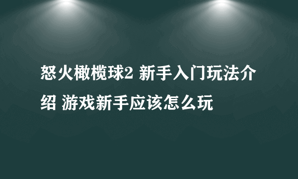 怒火橄榄球2 新手入门玩法介绍 游戏新手应该怎么玩