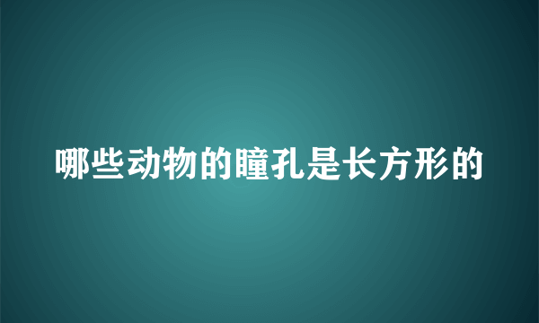 哪些动物的瞳孔是长方形的