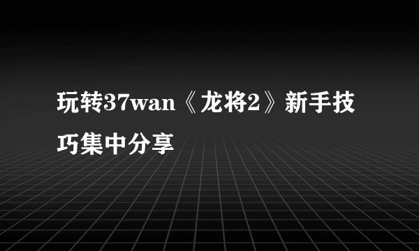 玩转37wan《龙将2》新手技巧集中分享