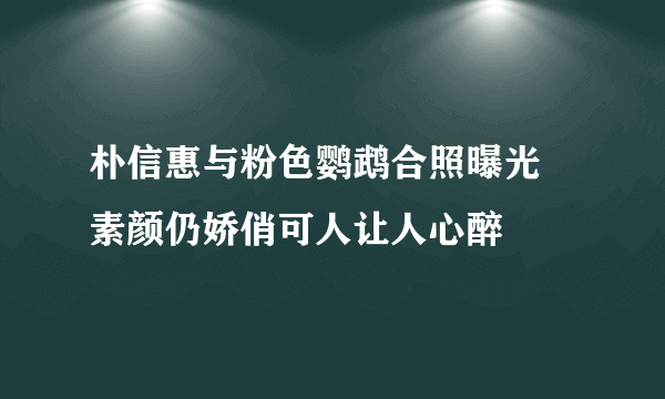 朴信惠与粉色鹦鹉合照曝光 素颜仍娇俏可人让人心醉