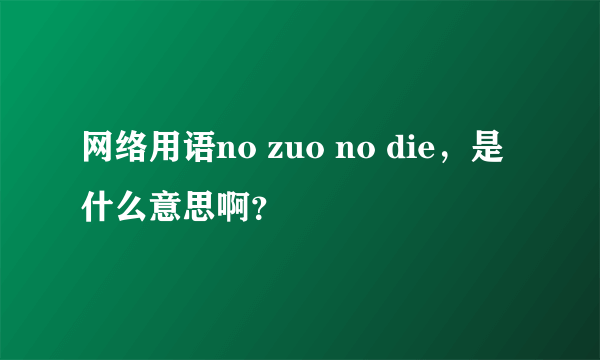 网络用语no zuo no die，是什么意思啊？