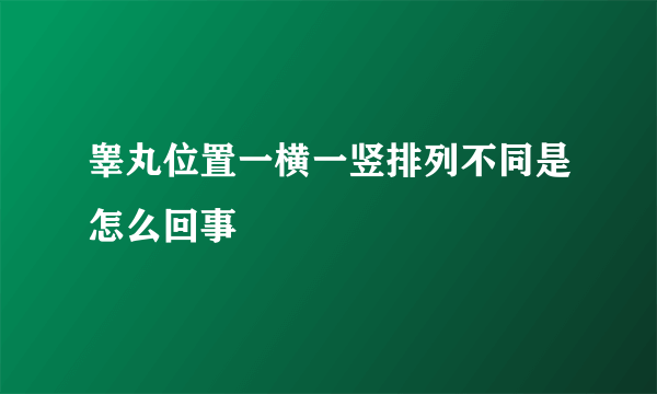 睾丸位置一横一竖排列不同是怎么回事