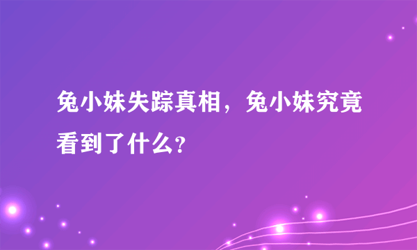 兔小妹失踪真相，兔小妹究竟看到了什么？