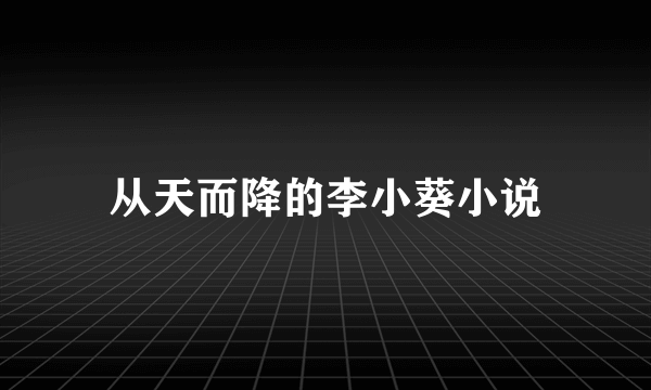 从天而降的李小葵小说