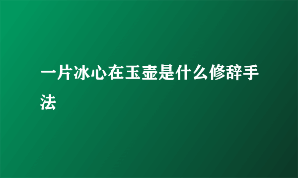 一片冰心在玉壶是什么修辞手法