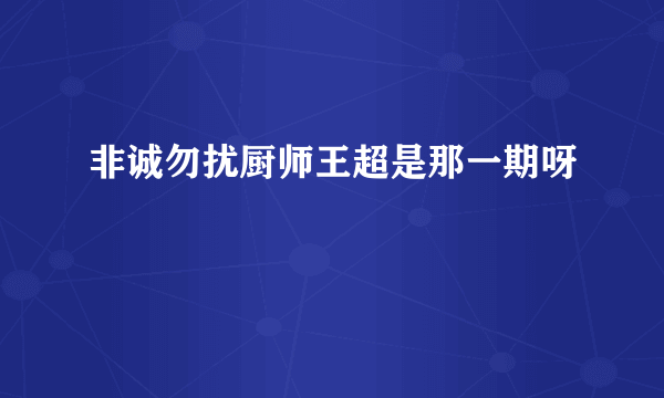 非诚勿扰厨师王超是那一期呀