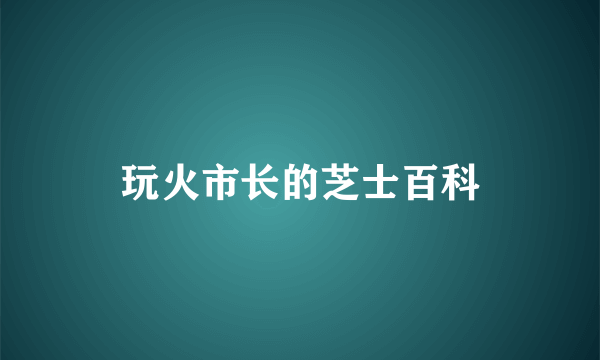 玩火市长的芝士百科