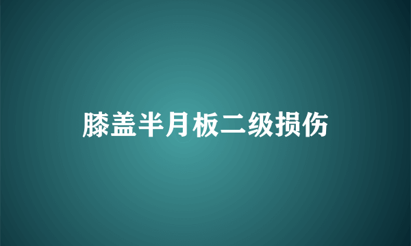 膝盖半月板二级损伤