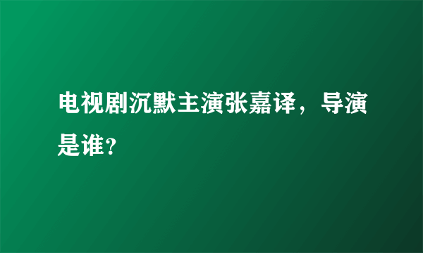 电视剧沉默主演张嘉译，导演是谁？