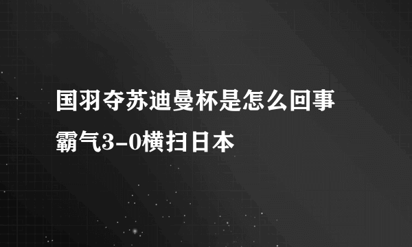 国羽夺苏迪曼杯是怎么回事 霸气3-0横扫日本