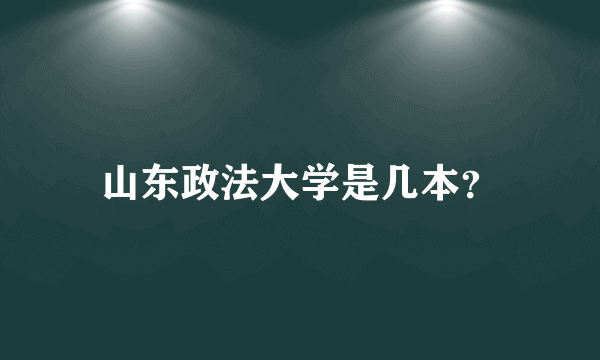 山东政法大学是几本？