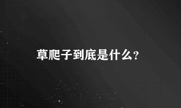 草爬子到底是什么？