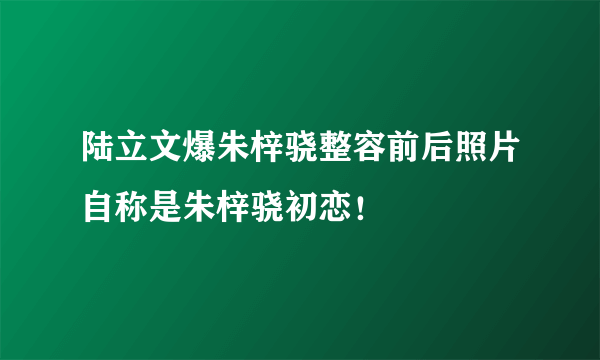 陆立文爆朱梓骁整容前后照片自称是朱梓骁初恋！