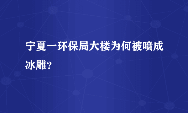 宁夏一环保局大楼为何被喷成冰雕？