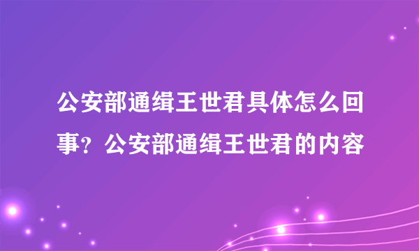 公安部通缉王世君具体怎么回事？公安部通缉王世君的内容