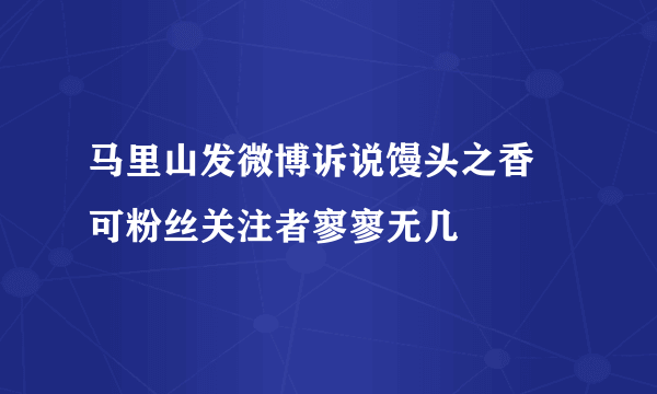 马里山发微博诉说馒头之香   可粉丝关注者寥寥无几