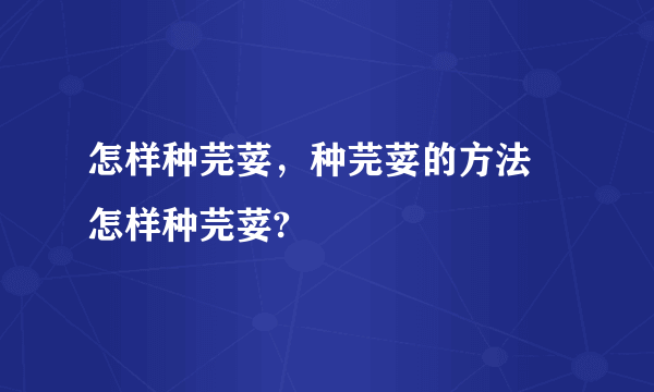 怎样种芫荽，种芫荽的方法 怎样种芫荽?