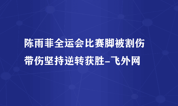 陈雨菲全运会比赛脚被割伤 带伤坚持逆转获胜-飞外网