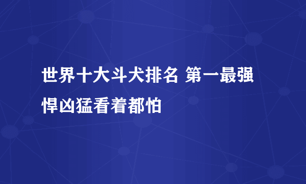 世界十大斗犬排名 第一最强悍凶猛看着都怕