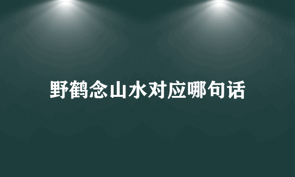 野鹤念山水对应哪句话