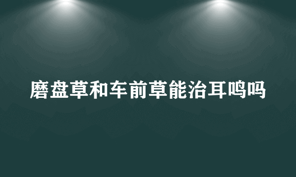 磨盘草和车前草能治耳鸣吗