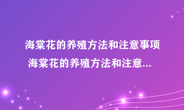 海棠花的养殖方法和注意事项 海棠花的养殖方法和注意事项有哪些