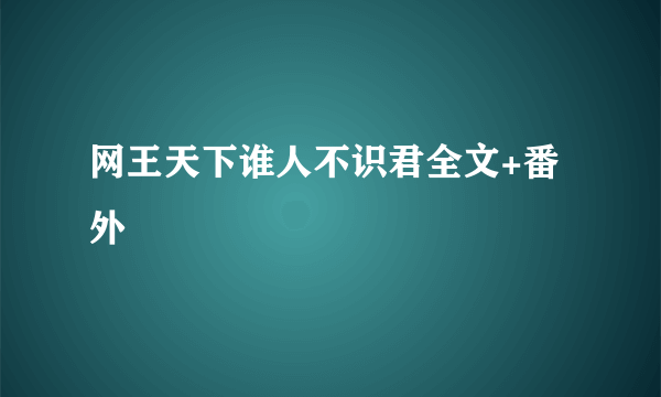 网王天下谁人不识君全文+番外