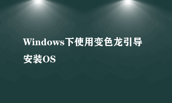 Windows下使用变色龙引导安装OS