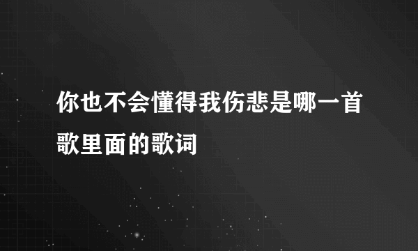 你也不会懂得我伤悲是哪一首歌里面的歌词