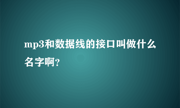 mp3和数据线的接口叫做什么名字啊？