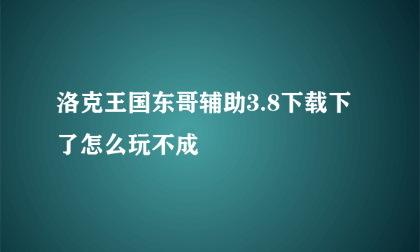 洛克王国东哥辅助3.8下载下了怎么玩不成