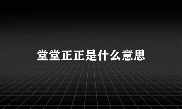 堂堂正正是什么意思