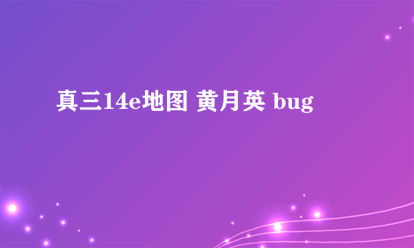 真三14e地图 黄月英 bug