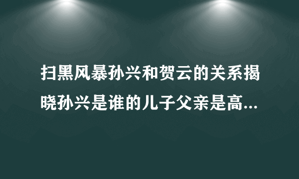 扫黑风暴孙兴和贺云的关系揭晓孙兴是谁的儿子父亲是高明远吗_飞外