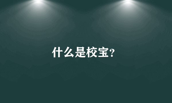 什么是校宝？