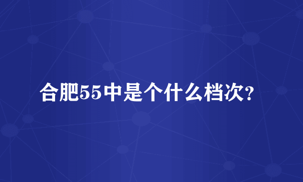 合肥55中是个什么档次？