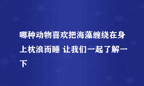 哪种动物喜欢把海藻缠绕在身上枕浪而睡 让我们一起了解一下