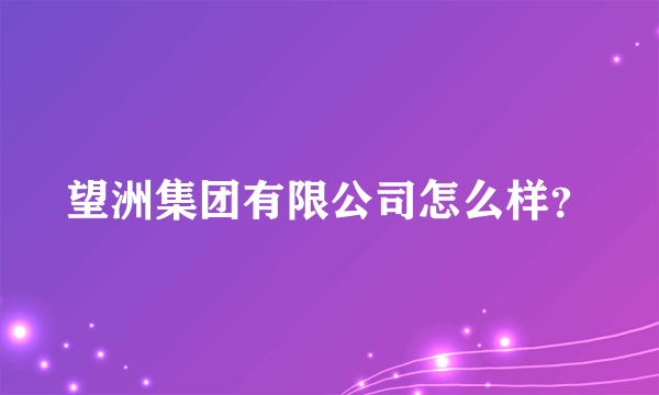 望洲集团有限公司怎么样？